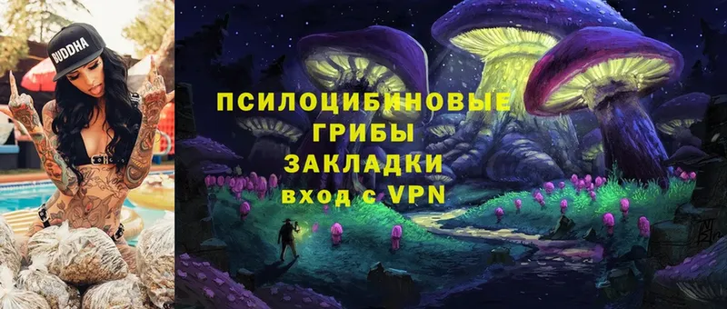 Псилоцибиновые грибы MAGIC MUSHROOMS  Белёв 